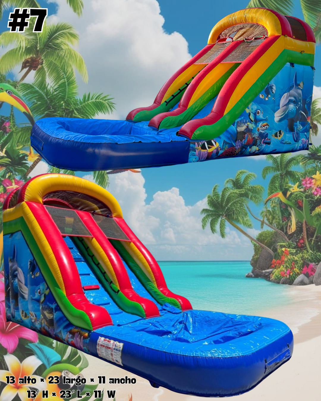 IMG_1975_1778853514286 1